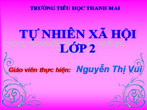 Bài 3. Hệ cơ