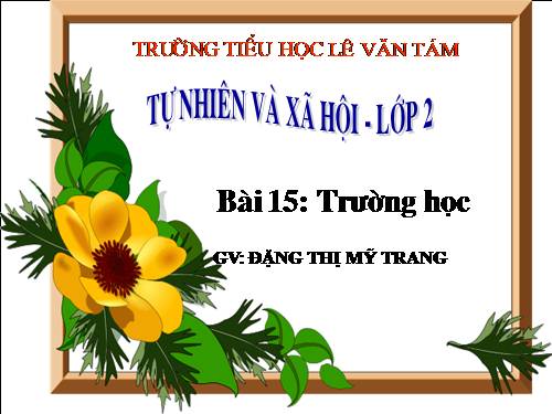 Bài 15. Trường học