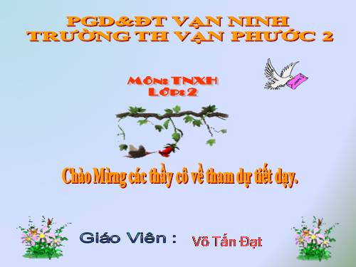 Bài 6. Tiêu hoá thức ăn