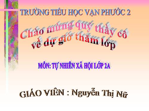 Bài 10. Ôn tập: Con người và sức khoẻ