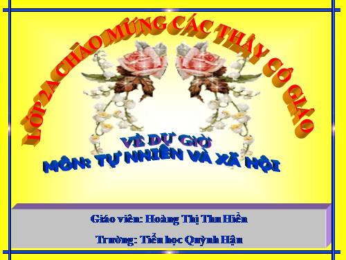 Bài dạy VNEN