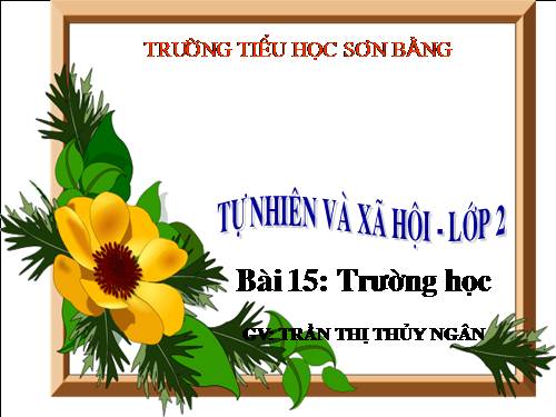 Bài 15. Trường học