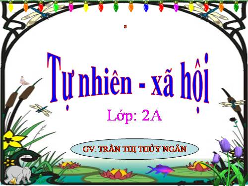 Bài 24. Cây sống ở đâu?