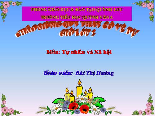Bài 31. Mặt Trời