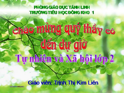 Bài 29. Một số loài vật sống dưới nước