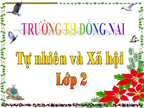 Bài 14. Phòng tránh ngộ độc khi ở nhà