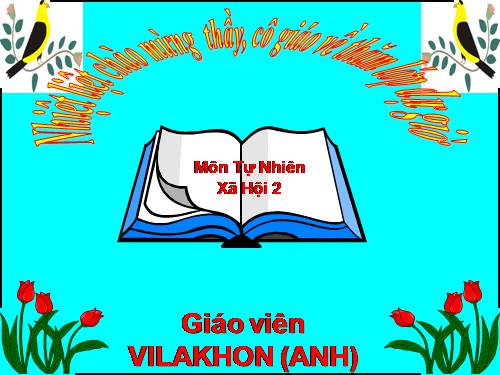 Bài 29. Một số loài vật sống dưới nước
