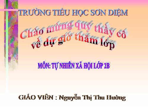 Bài 10. Ôn tập: Con người và sức khoẻ