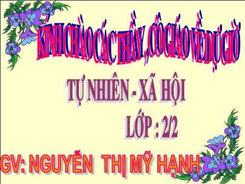 Bài 8. Ăn, uống sạch sẽ