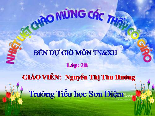Bài 9. Đề phòng bệnh giun