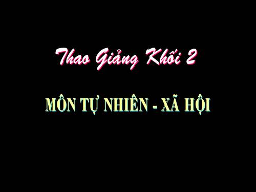 Bài 25. Một số loài cây sống trên cạn