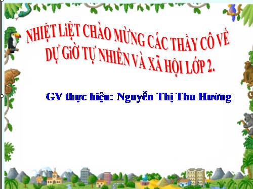 Bài 6. Tiêu hoá thức ăn