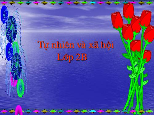 Bài 12. Đồ dùng trong gia đình