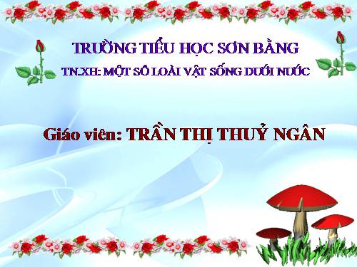 Bài 29. Một số loài vật sống dưới nước