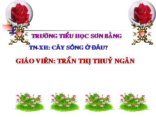 Bài 24. Cây sống ở đâu?