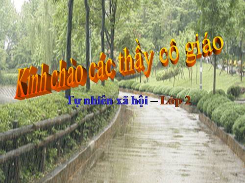 Bài 25. Một số loài cây sống trên cạn