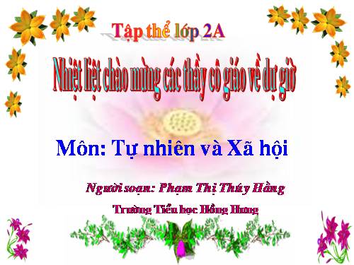 Bài 11. Gia đình