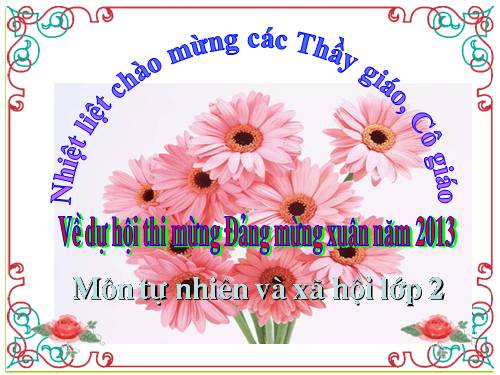 Bài 25. Một số loài cây sống trên cạn