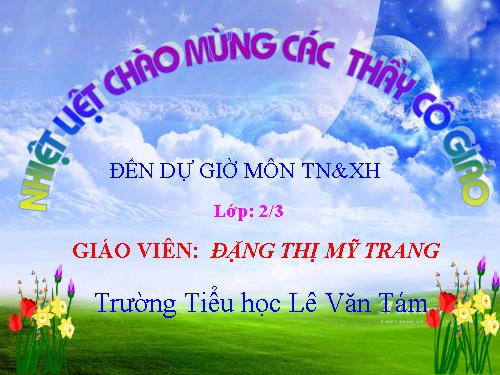 Bài 9. Đề phòng bệnh giun