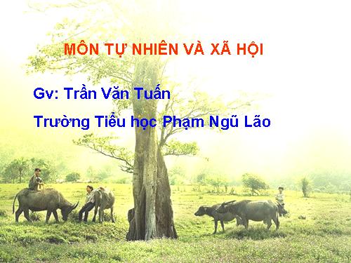 Bài 8. Ăn, uống sạch sẽ