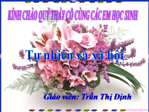 Bài 6. Tiêu hoá thức ăn