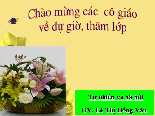 Bài 28. Một số loài vật sống trên cạn