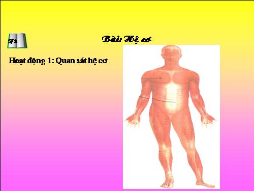 Bài 3. Hệ cơ