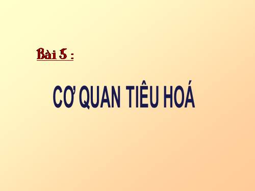 Bài 5. Cơ quan tiêu hoá