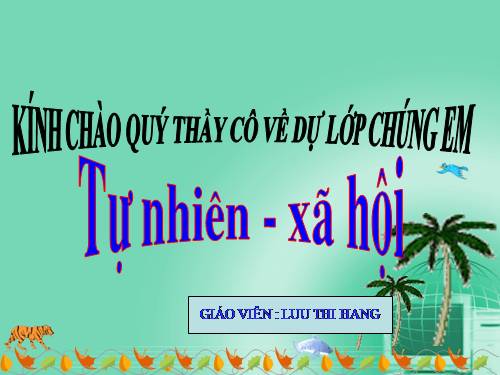 Bài 24. Cây sống ở đâu?