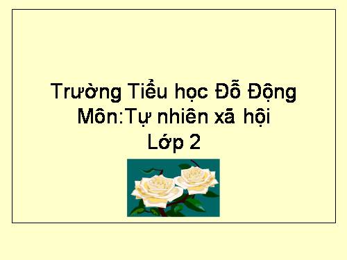 Bài 11. Gia đình