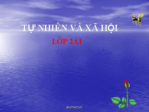 Bài 12. Đồ dùng trong gia đình