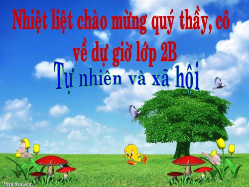 Bài 20. An toàn khi đi các phương tiện giao thông