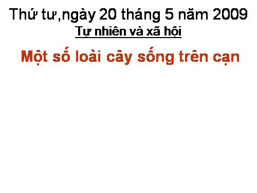 Bài 25. Một số loài cây sống trên cạn