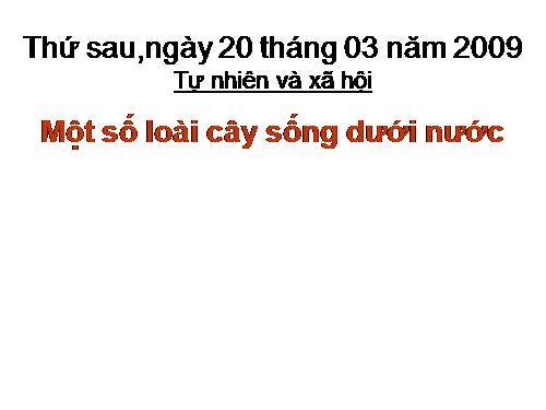 Bài 26. Một số loài cây sống dưới nước