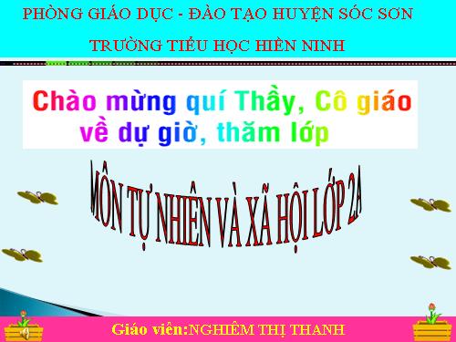 Bài 15. Trường học