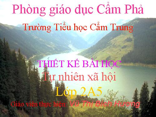 Bài 13. Giữ sạch môi trường xung quanh nhà ở