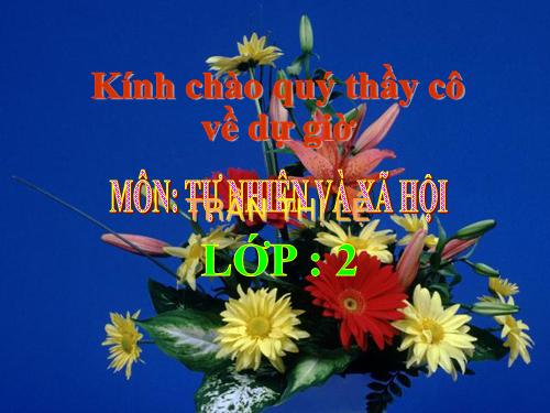 Bài 21. Cuộc sống xung quanh