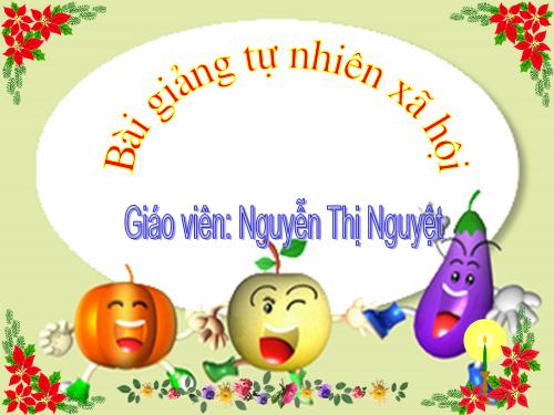 Bài 28. Một số loài vật sống trên cạn