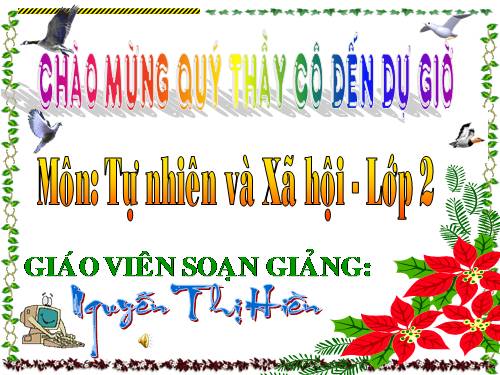 Bài 14. Phòng tránh ngộ độc khi ở nhà