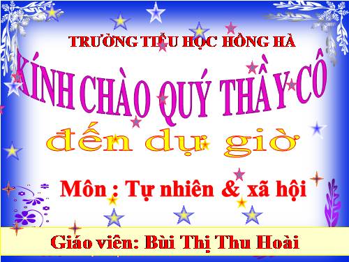 Bài 31. Mặt Trời