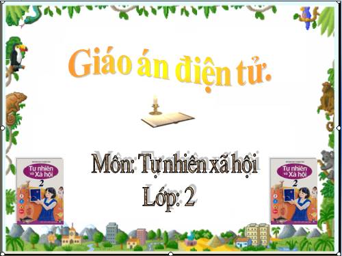 Bài 6. Tiêu hoá thức ăn