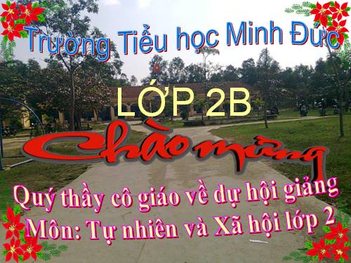 Bài 17. Phòng tránh ngã khi ở trường