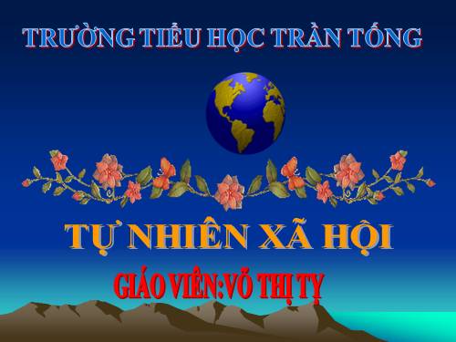 Bài 20. An toàn khi đi các phương tiện giao thông