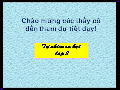 Bài 24. Cây sống ở đâu?
