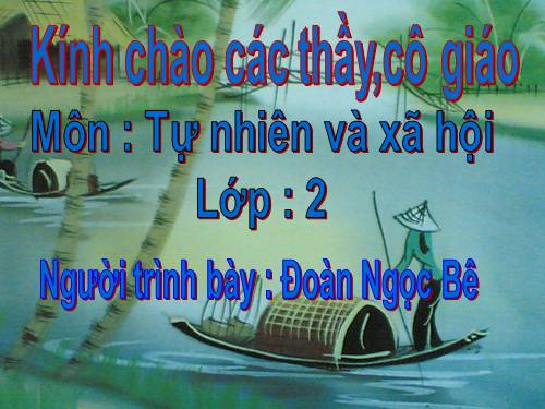 Bài 29. Một số loài vật sống dưới nước