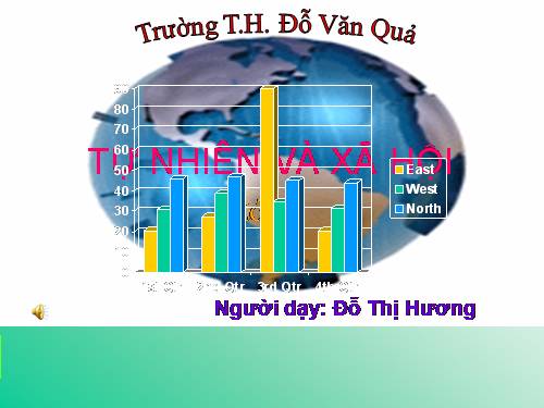 Bài 16. Các thành viên trong nhà trường