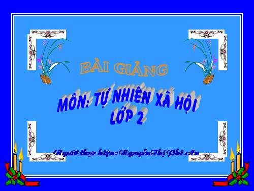 Bài 27. Loài vật sống ở đâu?