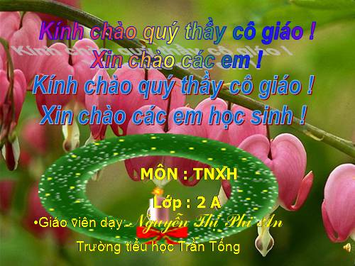 Bài 25. Một số loài cây sống trên cạn