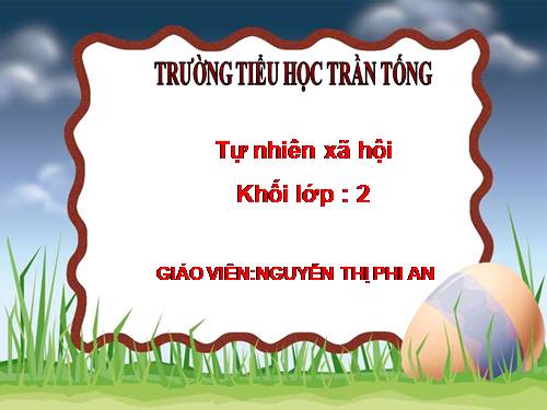 Bài 30. Nhận biết cây cối và các con vật