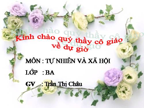 Bài 28. Một số loài vật sống trên cạn